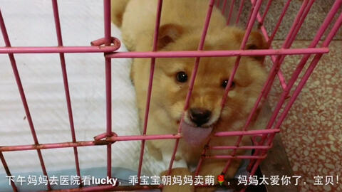 35dd13b17f29549d9e4d591c62fe9ee8627ea281.jpg@480w_270h_1c