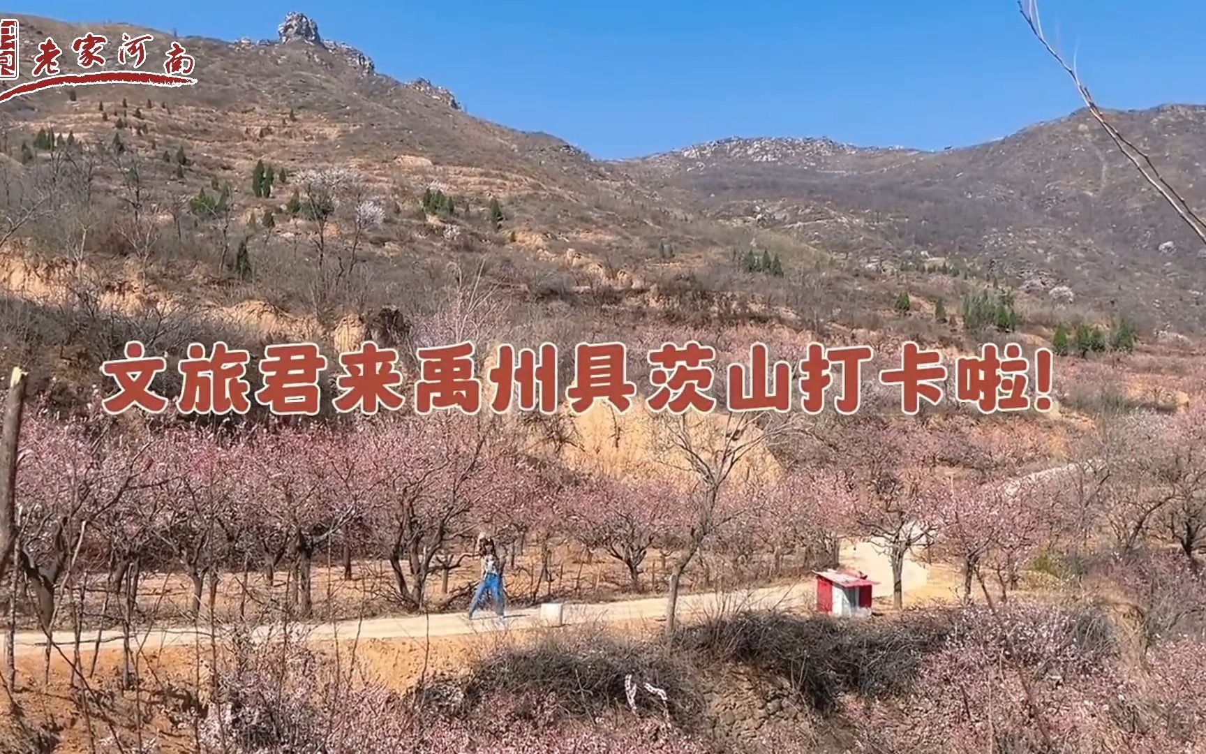 行走河南·读懂中国 | 许昌文旅君来禹州具茨山打卡啦~