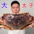 超大太子蟹，掀开蟹盖的那一刻震惊了，用砂锅焗越吃越上头
