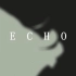 【手书】ECHO【疯人院】