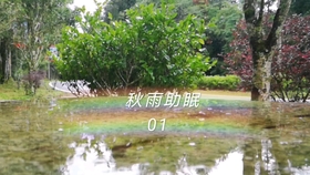 3615c704cab9cb22fa6a83ca9bd2d8294ddf2692.jpg@280w_158h_1c_100q.jpg