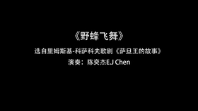 单簧管野蜂飞舞曲谱_野蜂飞舞单簧管谱(3)