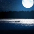 “月光柔和，令人沉淀，就让月光奏鸣宁静”
