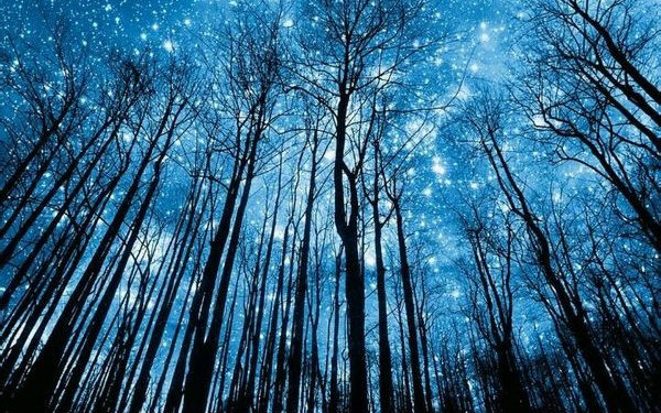 Aimer - 六等星の夜视频在线观看