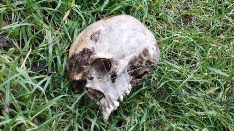 塞满了乌军士兵的尸体！俄军在库拉霍沃地下室里发现了被乌军抛弃的友军尸体。库尔斯克猪猪狂炫霍霍尔。俄军攻克乌军阵地，击毙了大量乌军士兵。俄乌残酷巷战、堑壕战纪实。