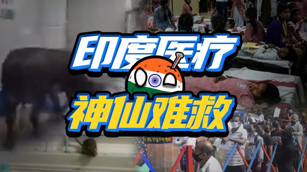 牛粪治百病？印度吹嘘的免费医疗，能有多抽象？