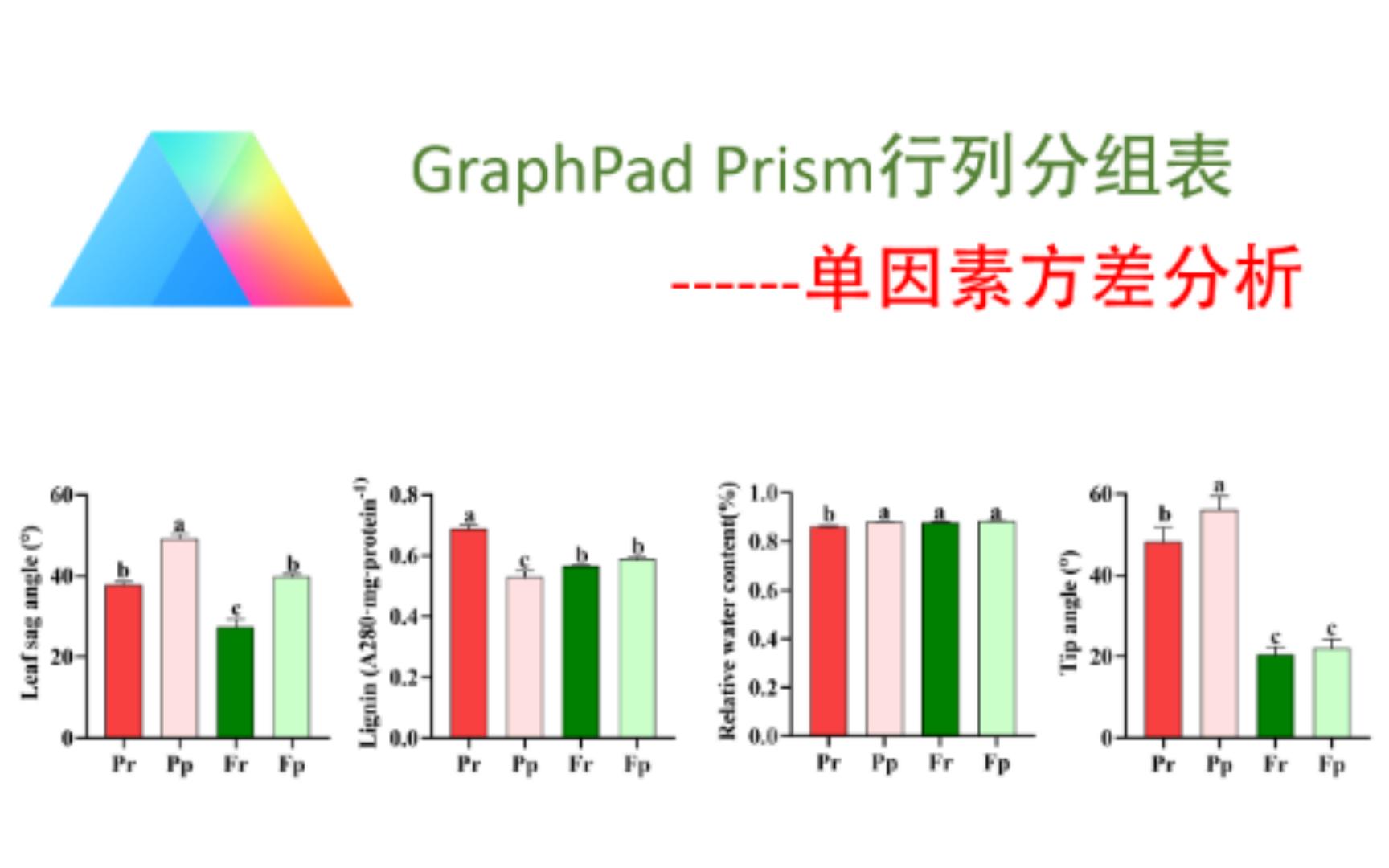 【医学生必学】Graphpad Prism绘制多组柱形图-并标记显著性字母