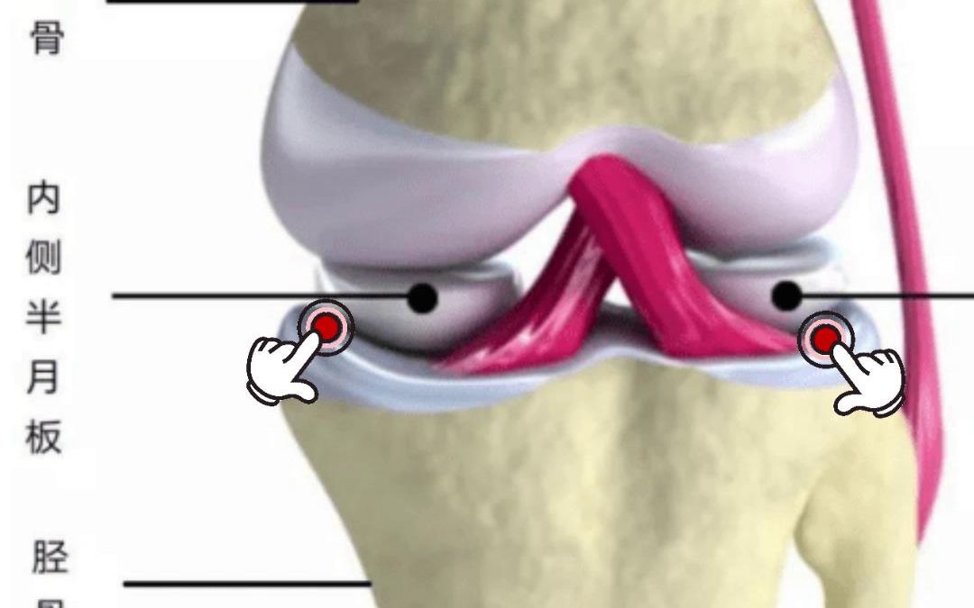膝盖内侧外侧疼痛，一个简单实用的手法