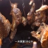 新疆美食架子肉，蘸下盐水直接放馕坑烤制，称1斤吃完再吃个拌面