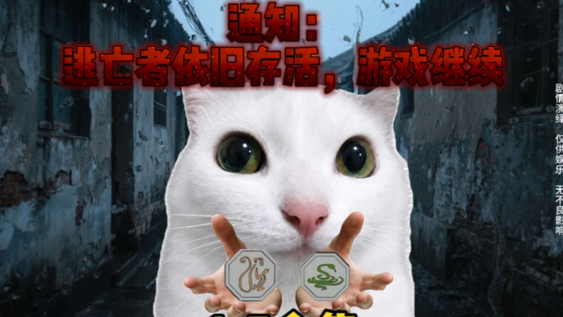 小火猫meme日记