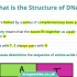 38.The Structure of DNA _ 9-1 GCSE Science Biology _ OCR, AQ