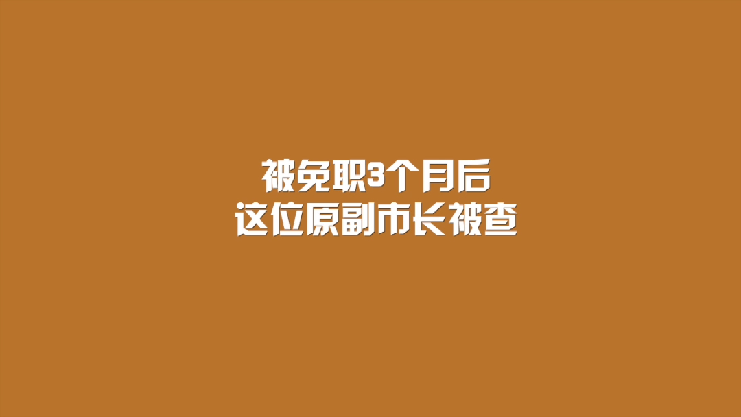 被免职3个月后,这位原副市长被查哔哩哔哩bilibili