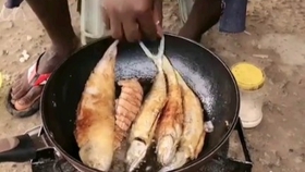 36c8f6c8b8bfb54f51a3cc43d495bbda7351021c.jpg@280w_158h_1c_100q.jpg