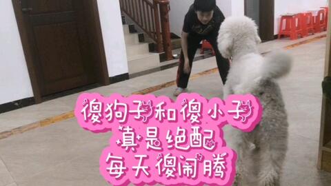 36e5cd0fb503781785f42721a84518e29e686616.jpg@480w_270h_1c