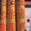 坐上龙舟，一帆风顺，勇往直前！2025乾小龙与福气一同伴您左右，Champion开工大吉
