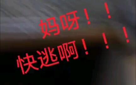 36f66407c191717730187bb841d2502171a1f619.jpg@480w_270h_1c
