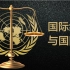 国际组织与国际法-北京大学2020年张海滨