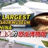 墙推！中国最大恐龙博物馆开馆 这种恐龙见都没见过！