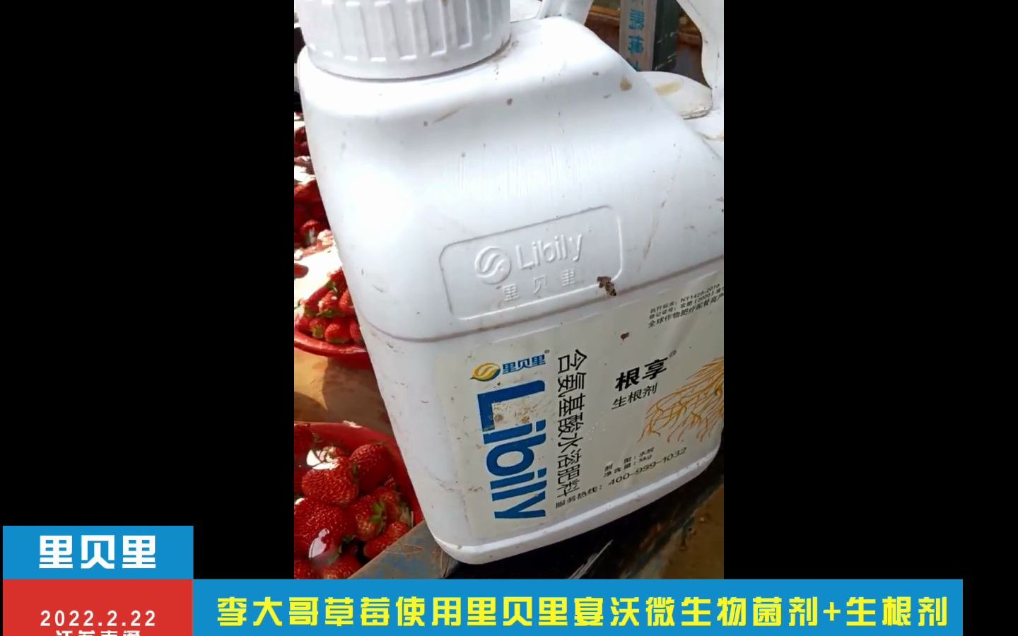 水溶肥江苏南通草莓用里贝里宴沃配餐肥草莓产量高品质好