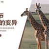 P9生物八年级下册人教版7.2.5生物的变异