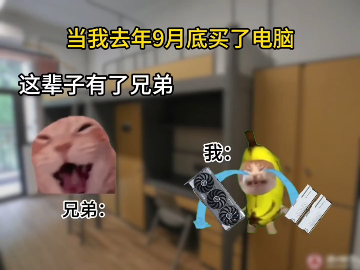 当我去年9月底买了电脑