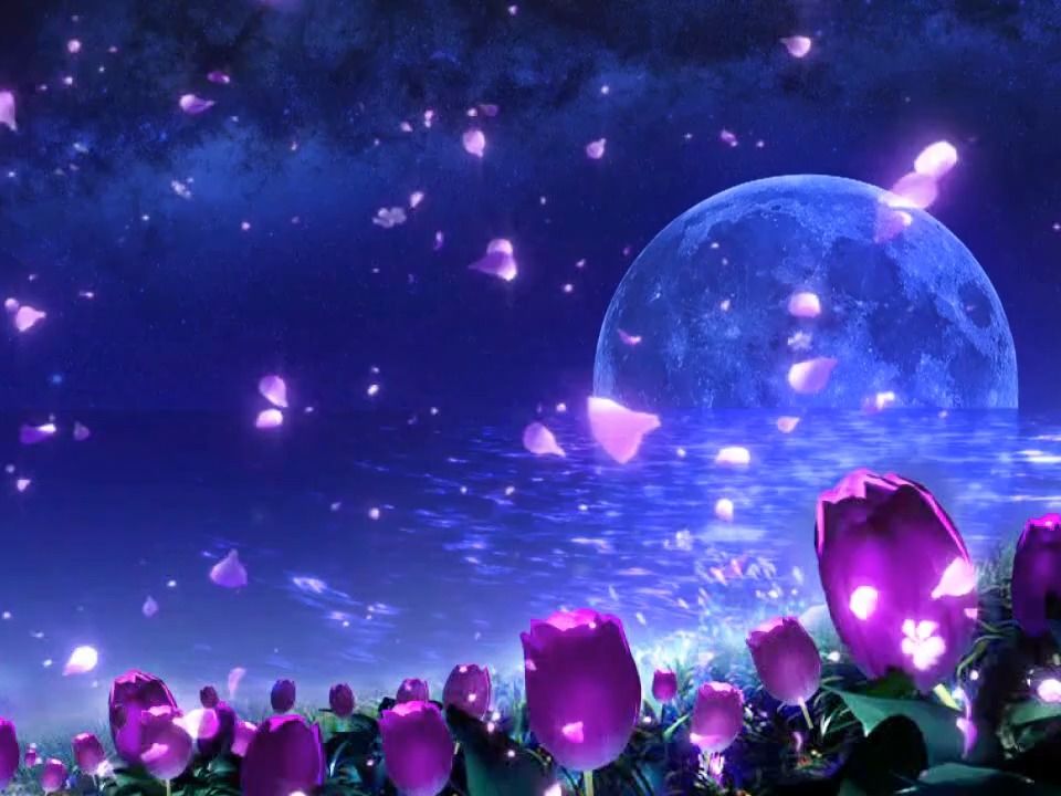 (ys40)梦幻唯美悲伤抒情夜景视频素材10