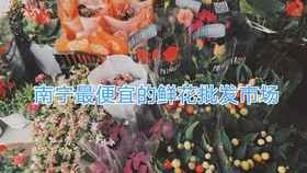 378dd10bb499c879d1600fc0e8a442330bf1ef03.jpg@280w_158h_1c_100q.jpg