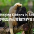 动物园的长臂猿饲养管理