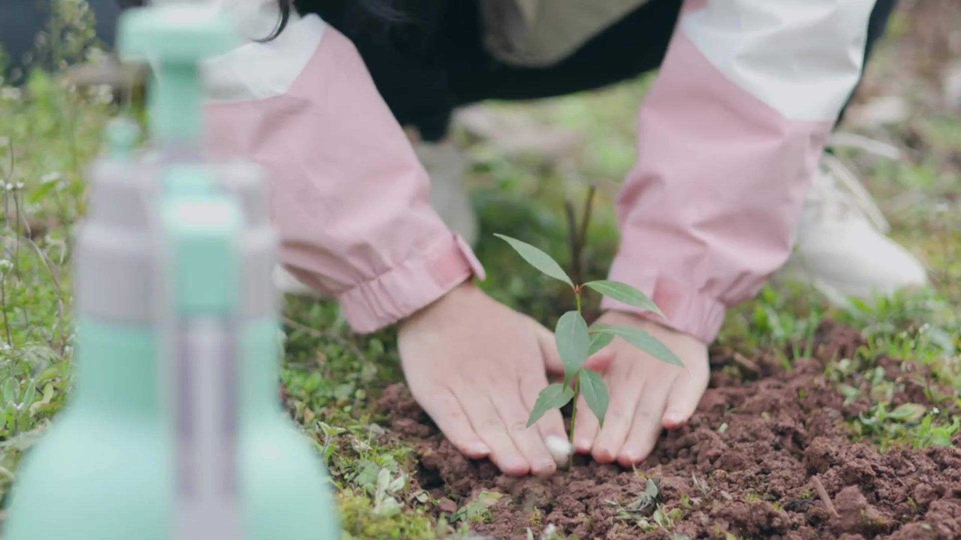 【空镜素材】植树节