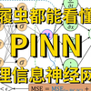 比啃书高效多了！草履虫都能看懂的物理信息神经网络PINN详解，油管大佬20分钟带你吃透