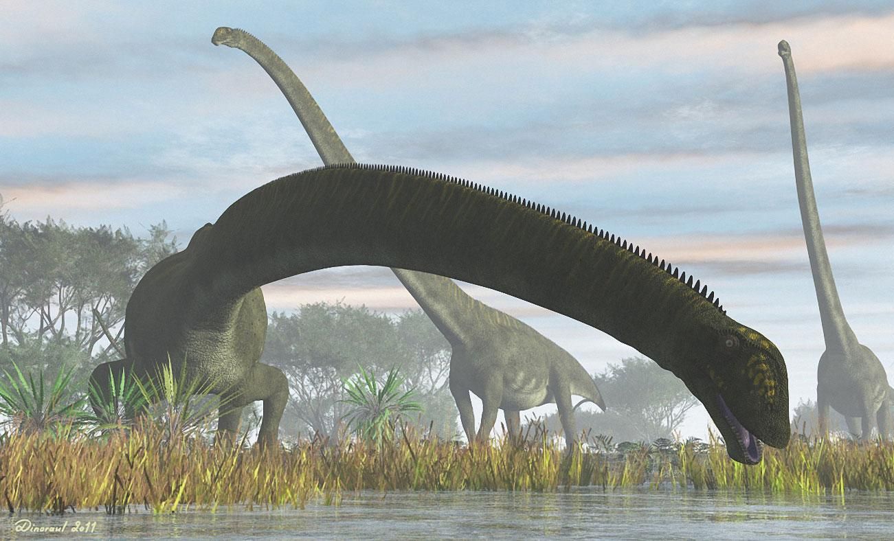 【科普】脖子最长的恐龙是谁呢？蜥脚类恐龙又为什么要演化出长脖子呢？