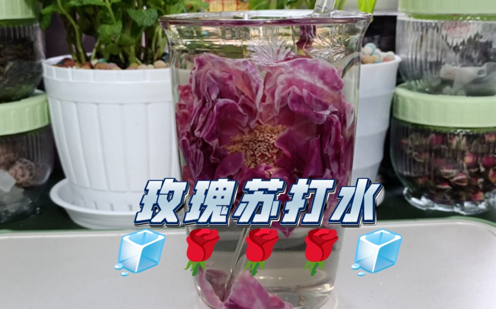 【自制饮品系列】玫瑰苏打水｜墨红玫瑰+小苏打+冰糖糖浆+冰块