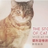 【纪录片】猫科动物的故事.第一集.野性依存.3E帝国字幕组-中英特效字幕组