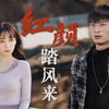 《新红颜踏风来》全集直通大结局