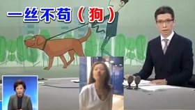 怎么自己做一首rap 38037102d957cc5e65b9faec3a46c8f1dd33dd4d.jpg@280w_158h_1c_100q.jpg