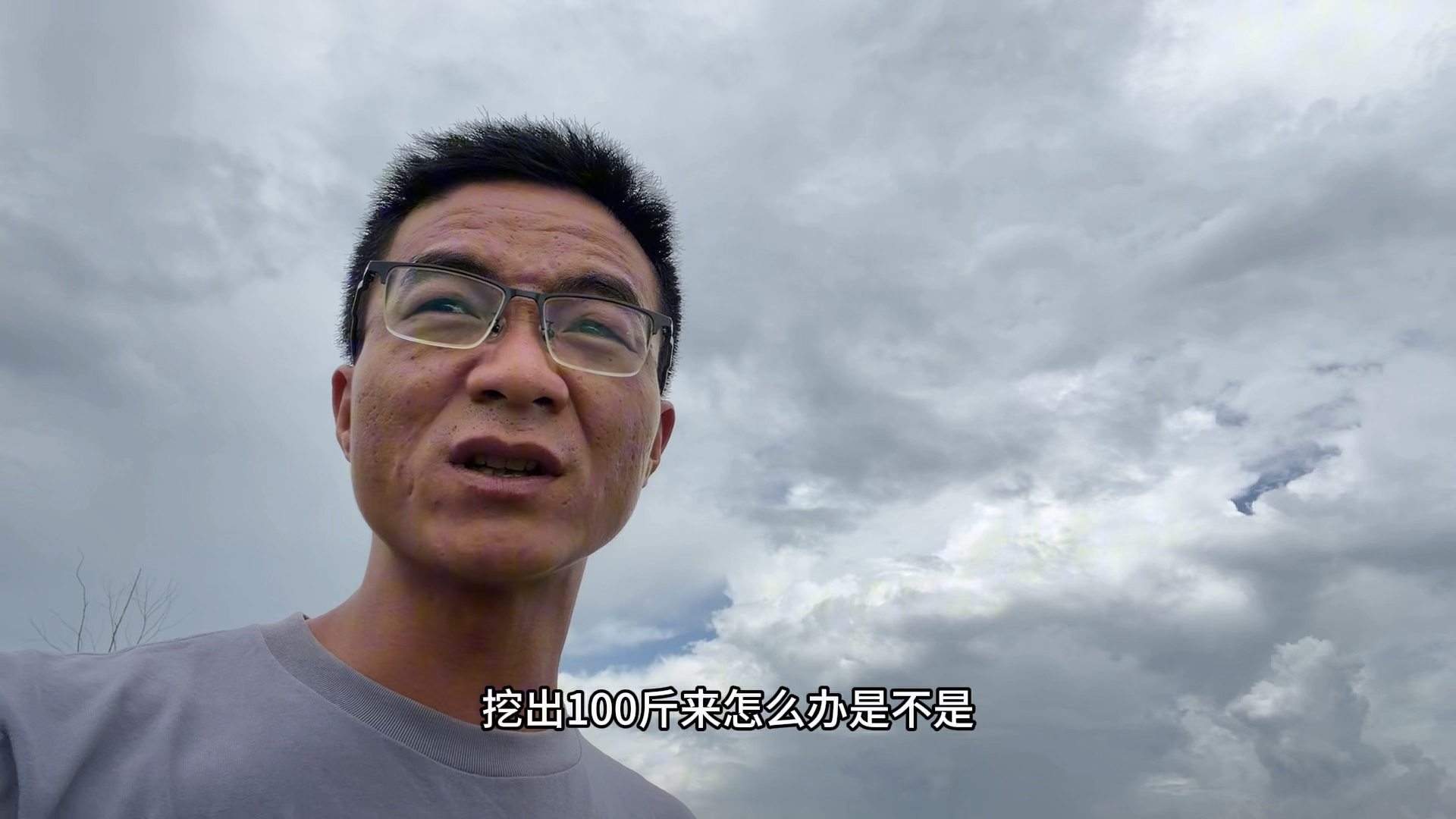 包乌灵参能不能发家致富