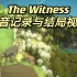 《The Witness》录音记录及结局视频