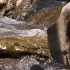 空镜头视频素材 溪流河水慢镜头 素材分享