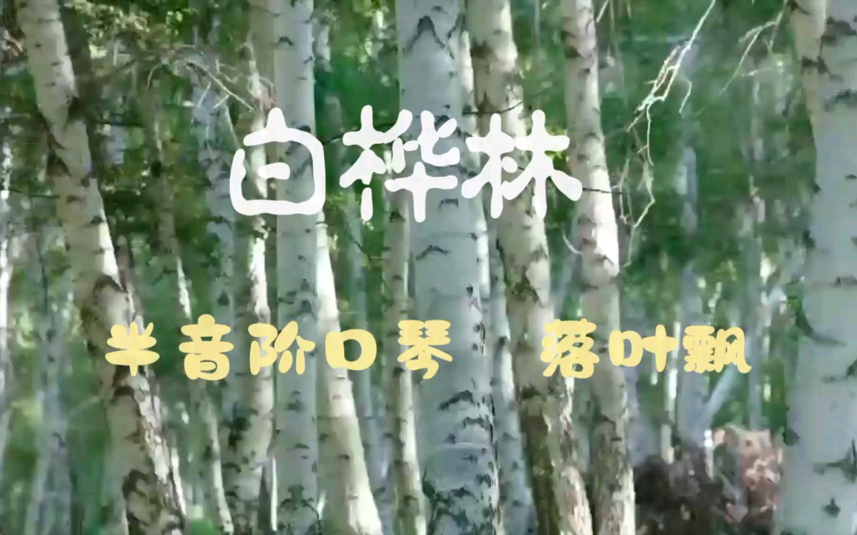 白桦林半音阶口琴hohnerd48