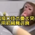 脑机接口技术重大突破，猴子用机械臂进食