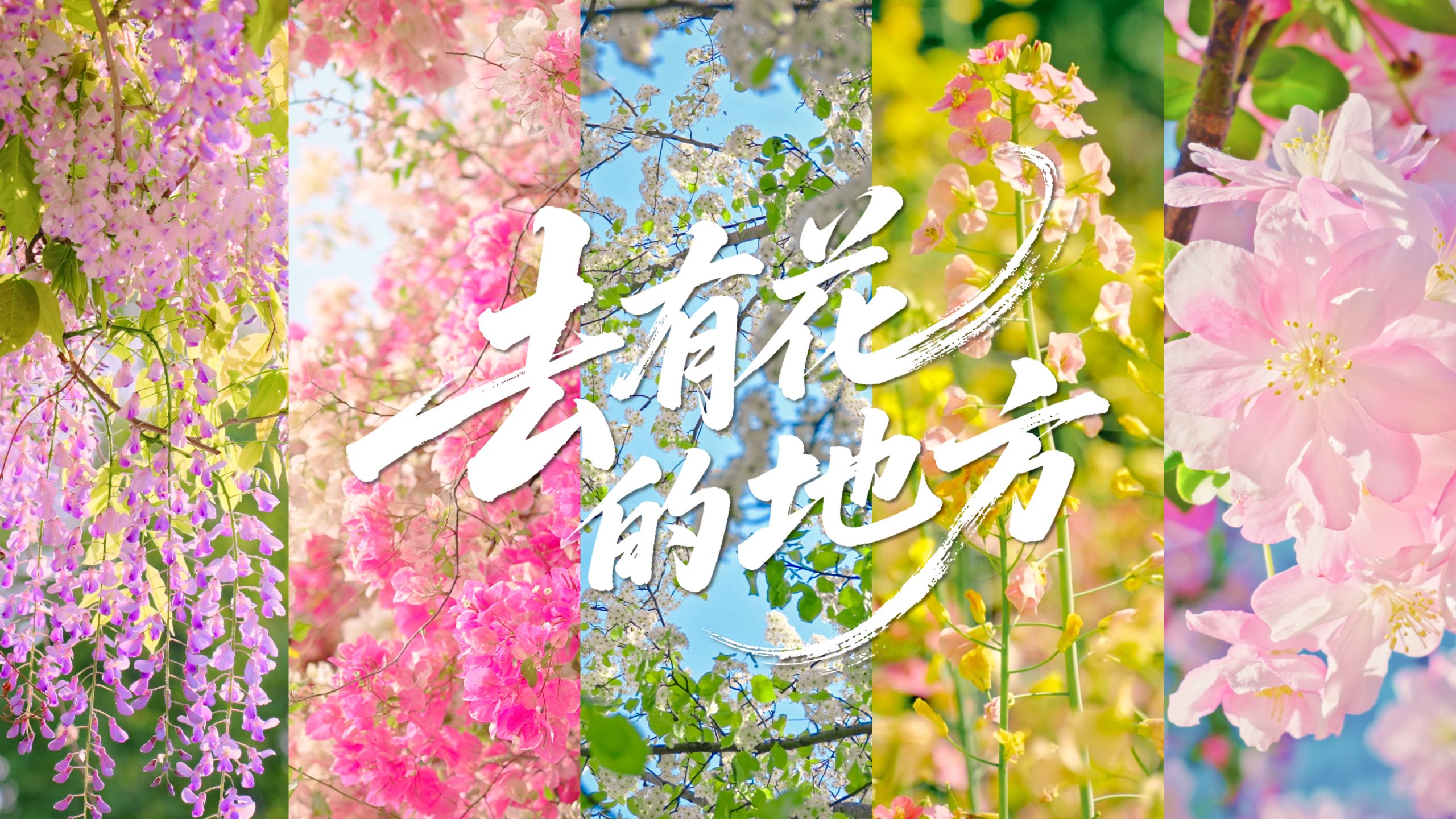 我们打包了满园的春色，想和你交换春天