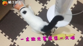 38c2f124450610a417dbfb06b94f6227494cf83c.jpg@280w_158h_1c_100q.jpg