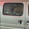 大狗大狗交交交