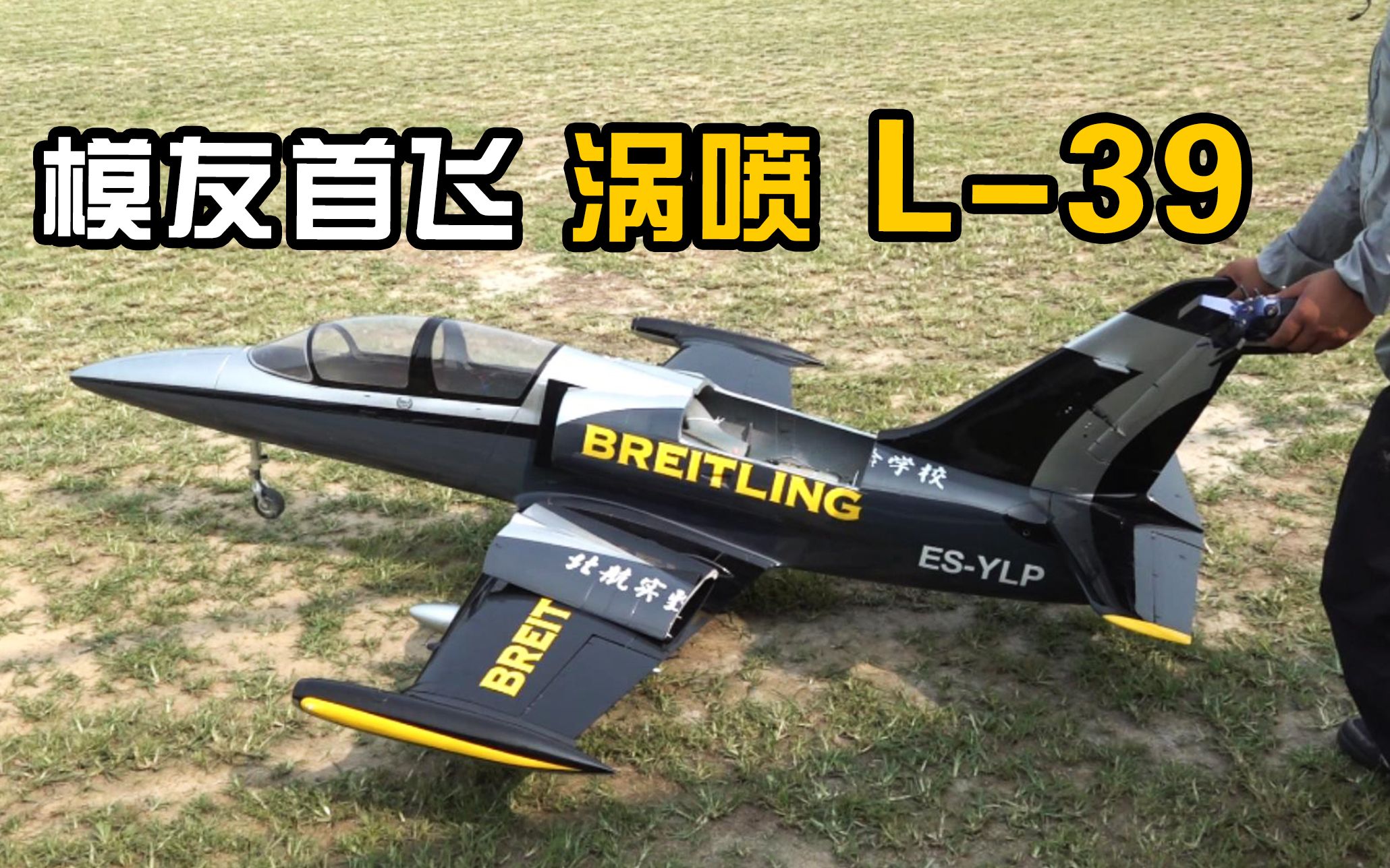【涡喷航模】北京玩家首飞涡喷就倒飞，L-39高级教练机飞行