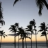 空镜头视频素材 海滩海边椰子树日落夕阳 素材分享
