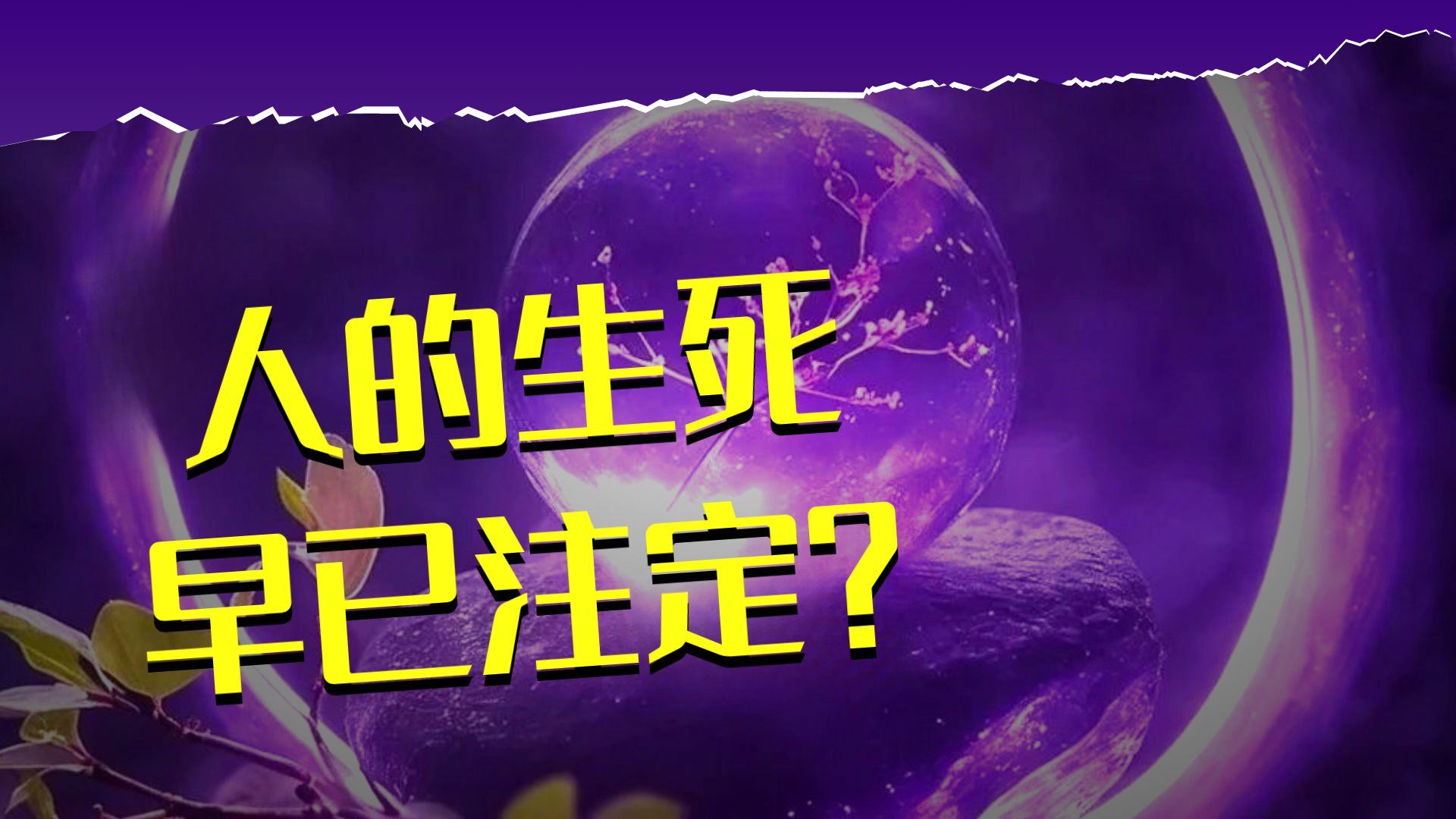 体佛法师开示：生死有命