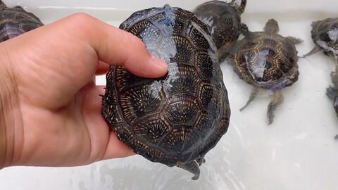 3911ade99b994d6d48d4aaedd086bf1f9008db77.jpg@480w_270h_1c