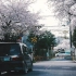 日本旅拍 | 2020 kyoto sakura | 疫情中的樱花季 | A7M3 HLG