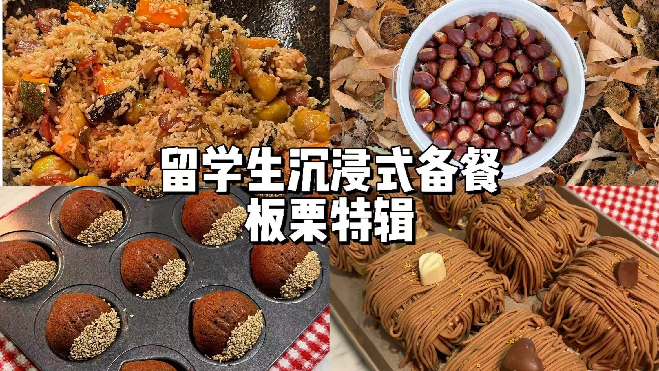好久不见我回归啦！从农场到餐桌🌰栗子特辑 | 糖烤板栗·板栗烧鸡·🎃板栗南瓜腊肠焖饭·板栗可可玛德琳·🍰蒙布朗栗子蛋糕