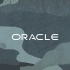 Oracle P6 软件入门到精通